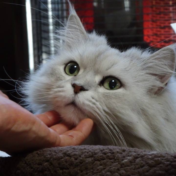 3dd8b181 1dd0 4e6a bda1 18f684384334 1516230964874