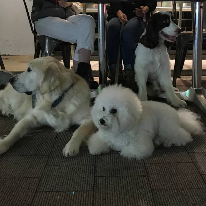 3dd8bb2c 62fb 4e59 9601 5a4da9b85949 1510284719692