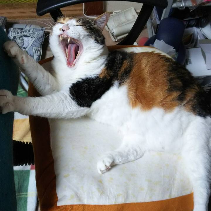 3dd90b8b d9e9 48c3 9b09 f248ec27f2dd 1529246515459