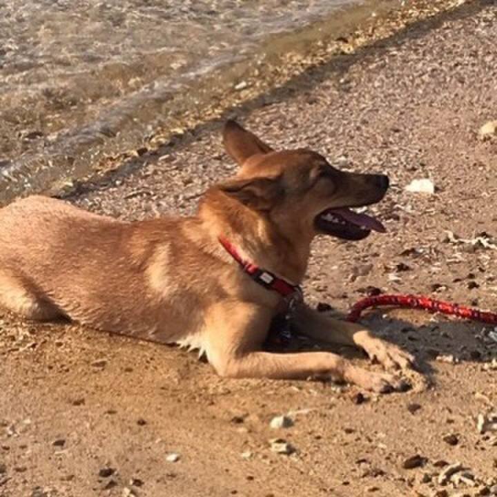 3dd9109e 87d3 4527 a4ca 28ac77178683 1606747054258