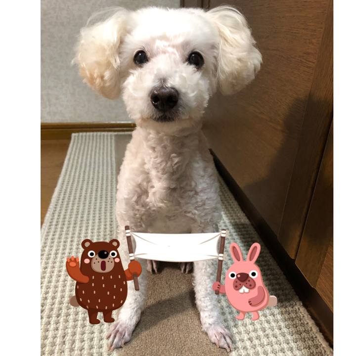 3dd92053 7ffa 4992 b495 4cd3129433f9 1541476914181