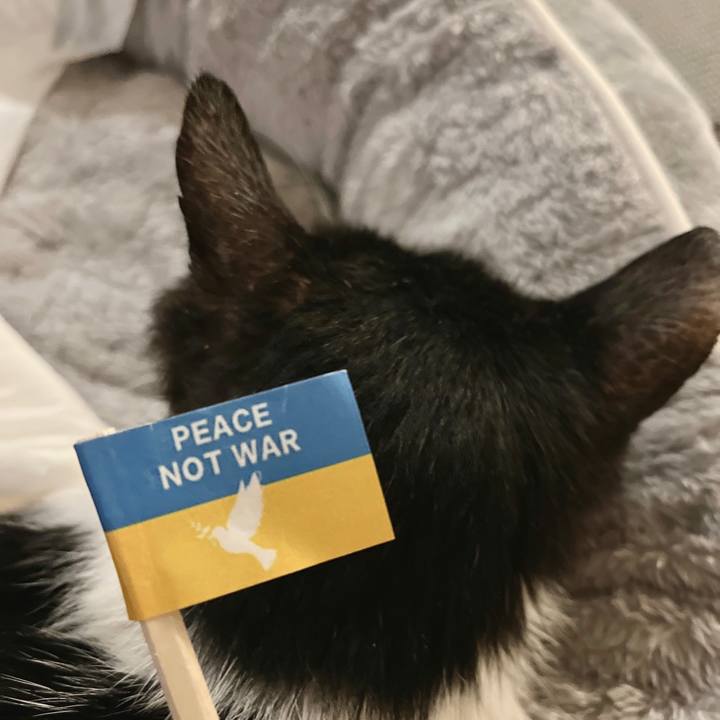 3dd923fb 1ccf 4d32 a31c fce957fc002a 1647080874914