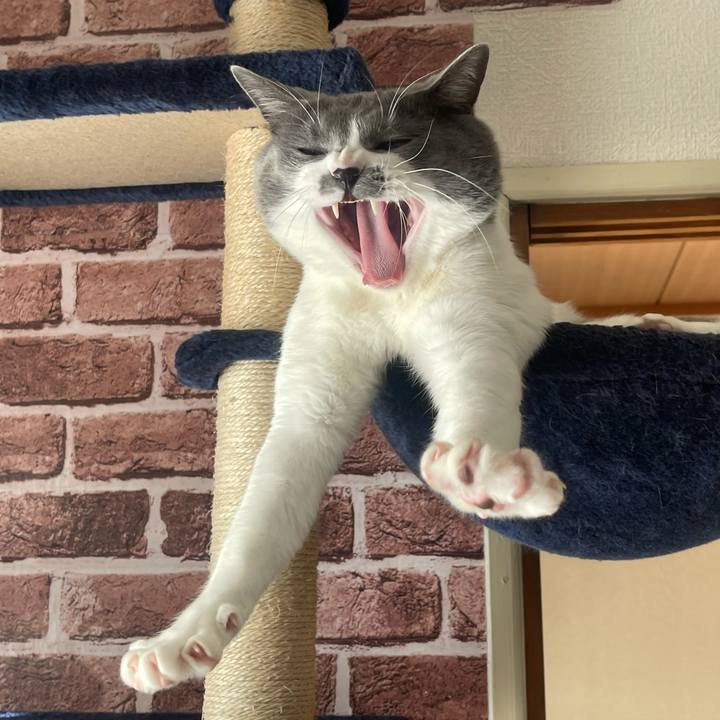 3dd93c11 d64c 4ea9 9d4a 2e8e43631b9a 1640997641834