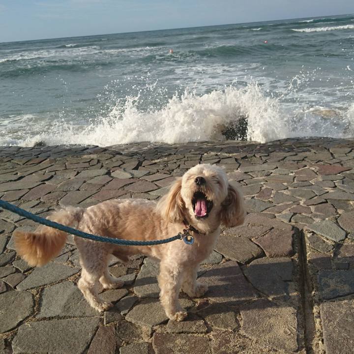 3dd93eef 702d 46c2 afda 489df7cf32e4 1534581934324