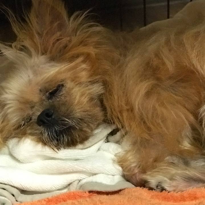 3dd9cb6f 5984 466d b362 986ed0ffa08c 1570796519302