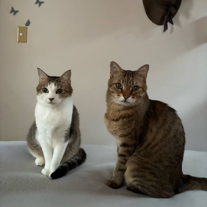 3dd9ccf8 8e21 4ac7 a2be cc6a69dde801 1758672003040