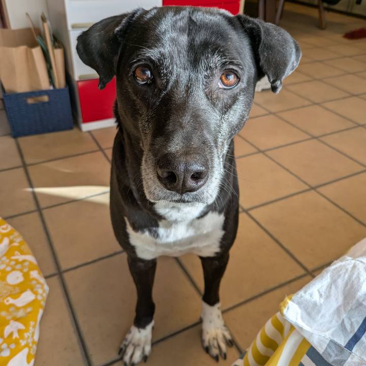 3dda2047 869e 4d92 b135 ba48a8036148 1739233483338