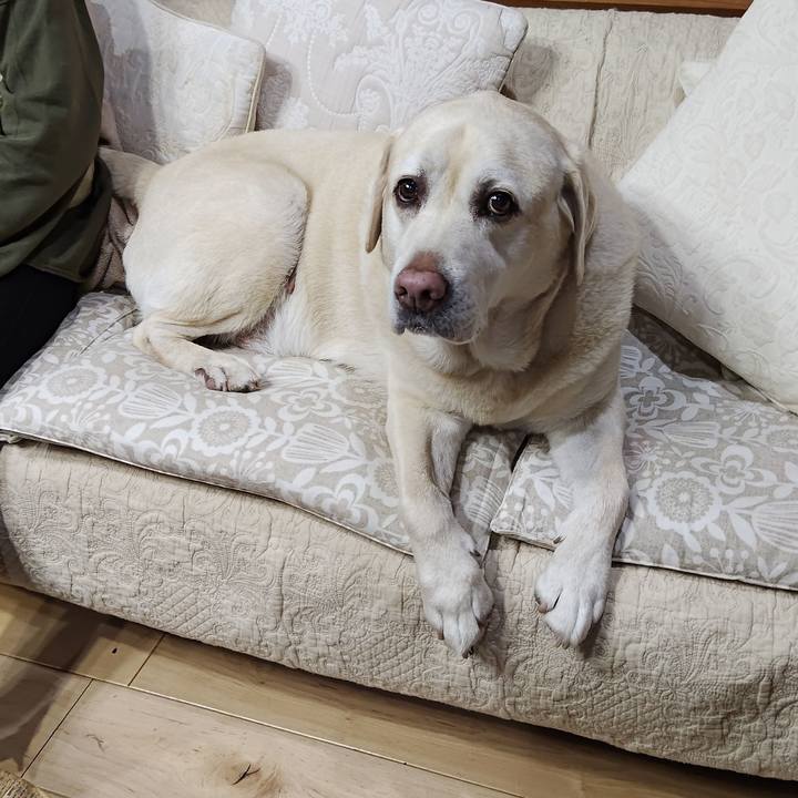 3dda2807 5468 4a7f 8401 5ebc2056b1a1 1764243628194