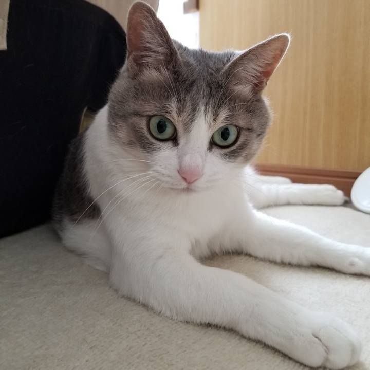 3dda67cc c0a2 4ec5 8e0d 917ae05d0410 1645374503148