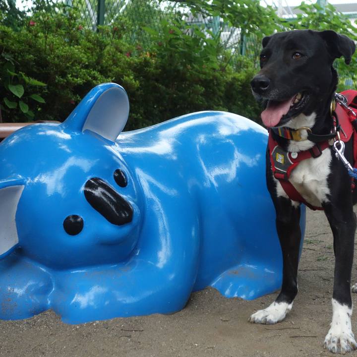 3dda80bb 972f 4f27 b26f 02756fcbace7 1589503951350