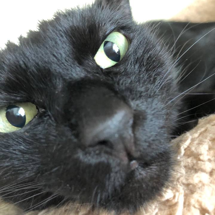 3dda89c9 34a6 4c00 be2a 311f2f7b7381 1629508915468