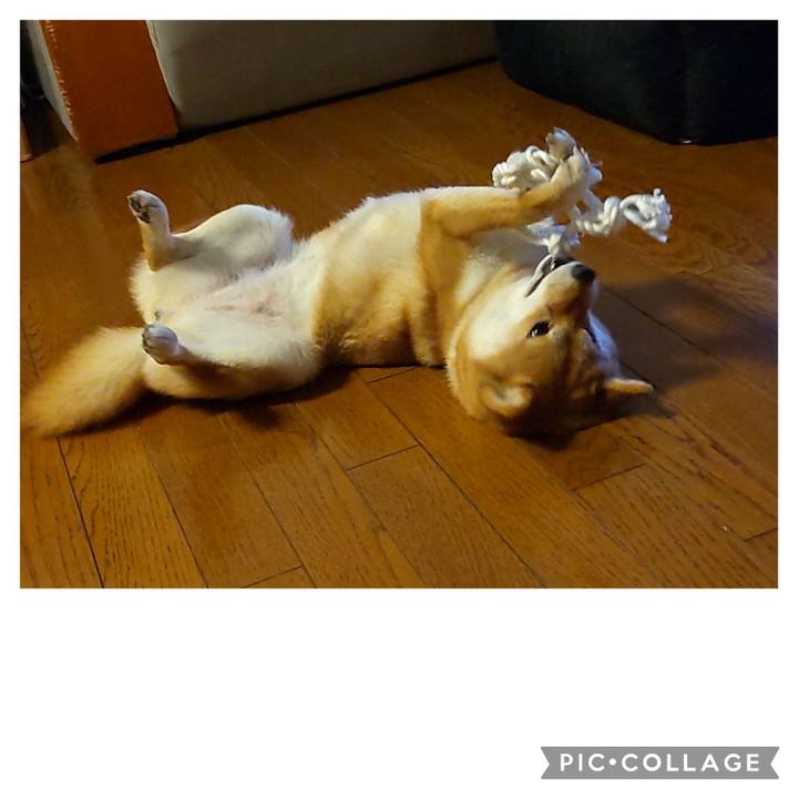 3ddacb4c d355 4d30 b0c8 92b7eec7e30e 1674694325554