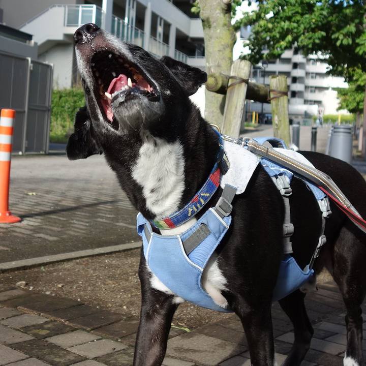 3ddae547 a3b7 4719 91a2 80ec9d86be2e 1723852738534