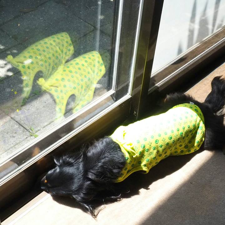 3ddaf884 5b96 43f1 96d8 7f52d28fd917 1524279222056