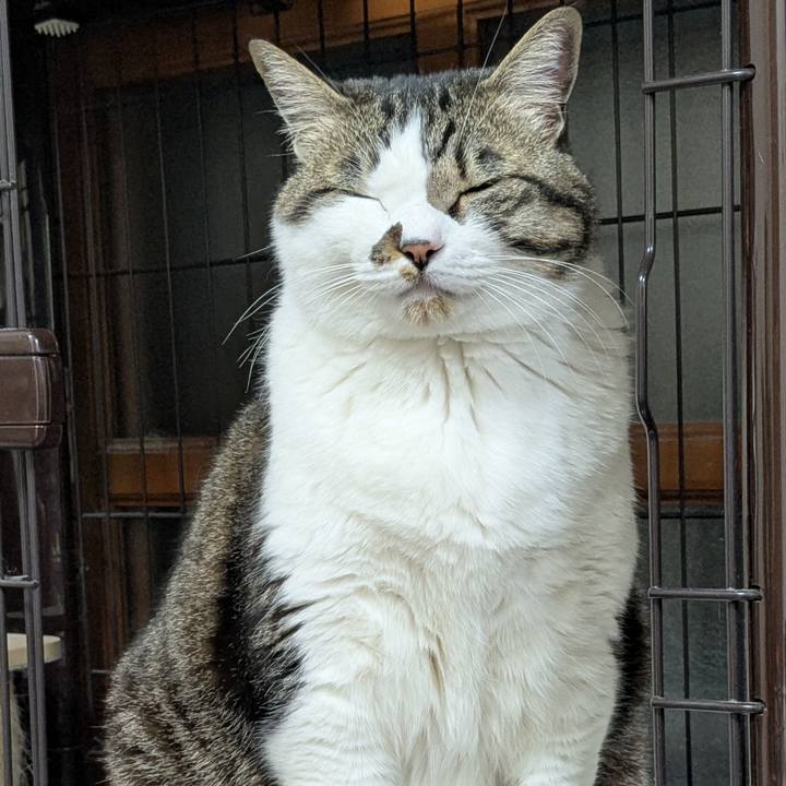 3ddb0183 261f 4702 bf29 9d946a34c19e 1775128915578