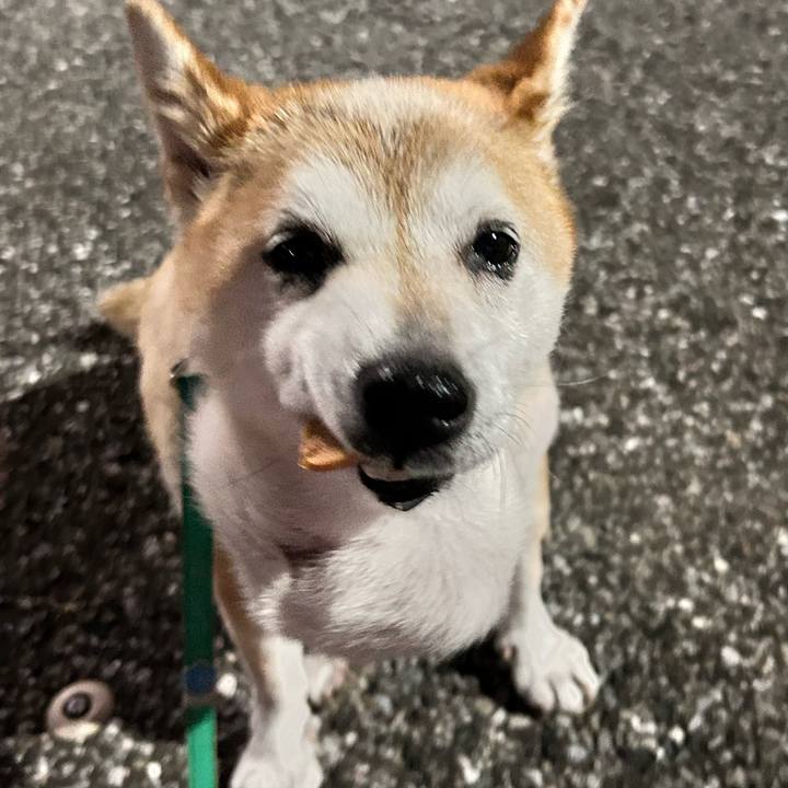 3ddb1497 d1a2 4dda ba77 605dd43b9983 1757154924292