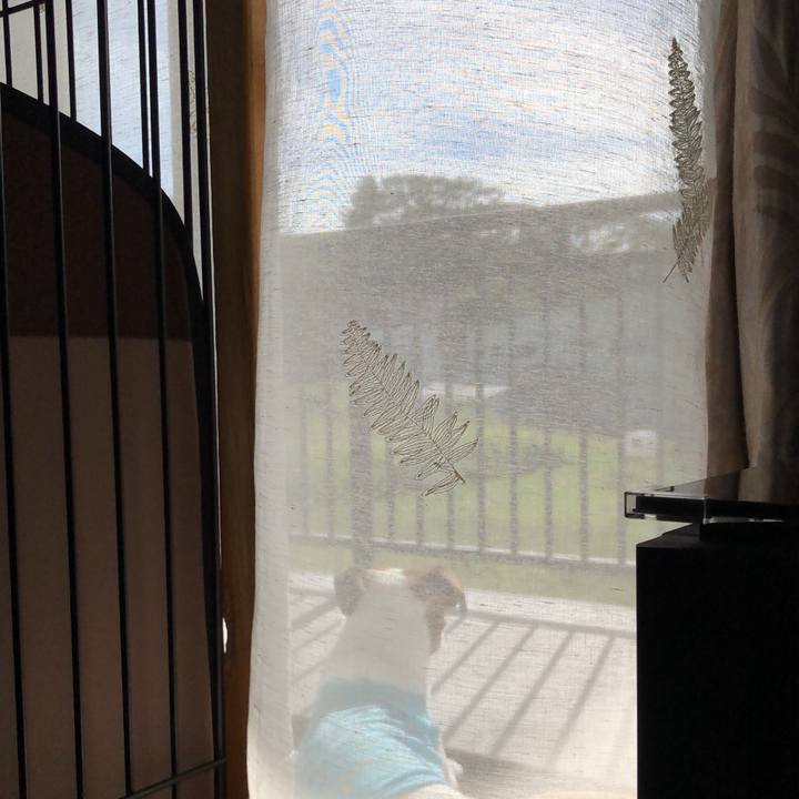 3ddb1784 3cea 4c80 8696 ac950cae6f86 1599868643051