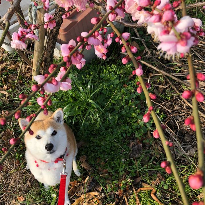 3ddb70c5 a902 415c a0cd f093413c89b6 1612576617912