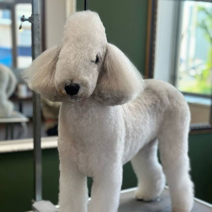 3ddb846d bb65 41d7 9100 f6c6e16e14e2 1729506720366