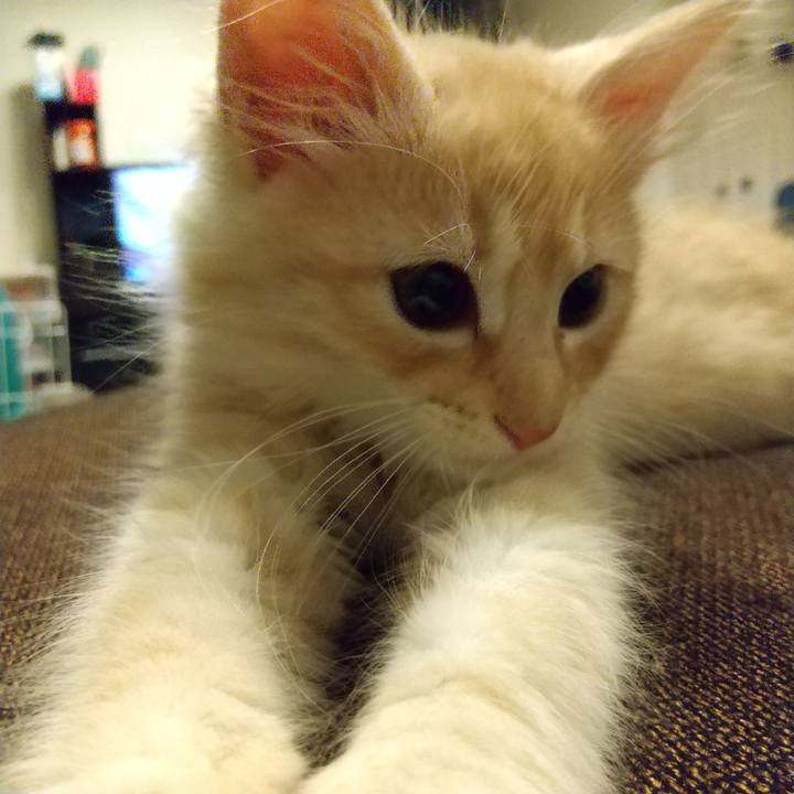 3ddbc13f 26e5 440e b827 bb4d4d2e4236 1603973055392