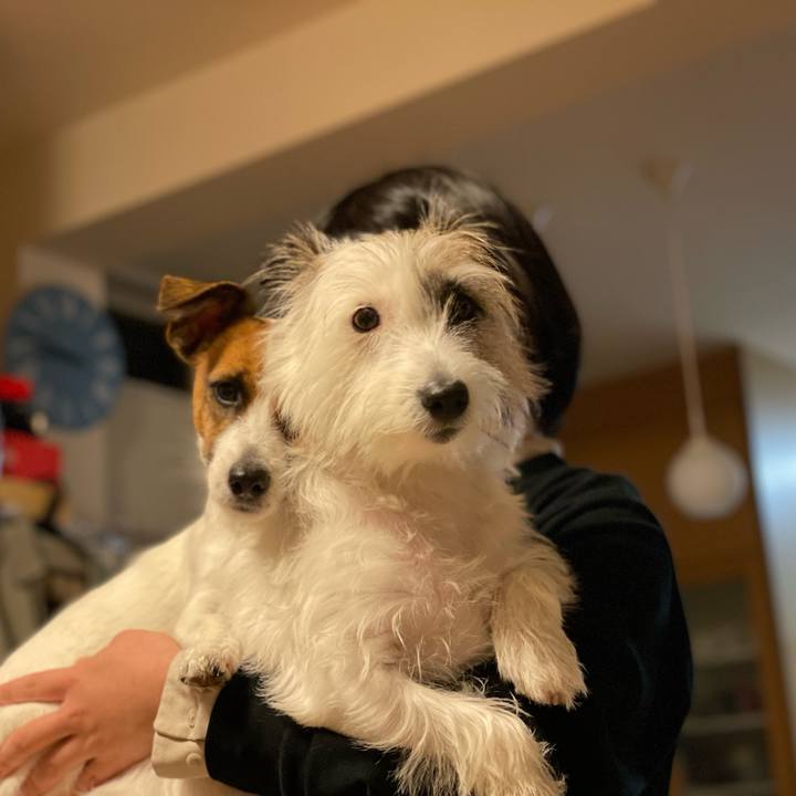 3ddbc9cc 1d96 44bd b341 c9a646245226 1635162526400