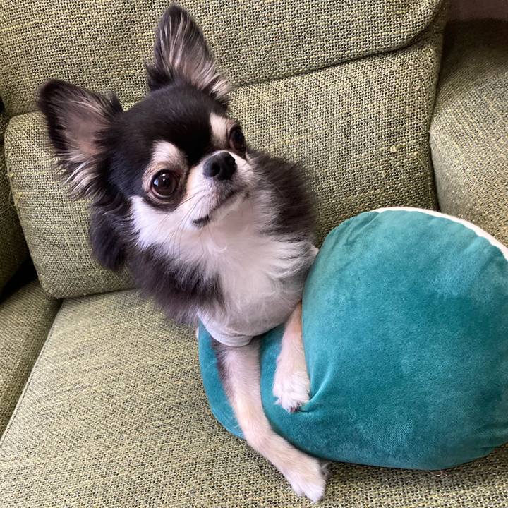 3ddbfbab da6c 468f 9ea3 77f552854c44 1685289474198