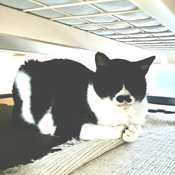 3ddc0354 4cf6 4df8 9f52 fb018230ee59 1731716884238