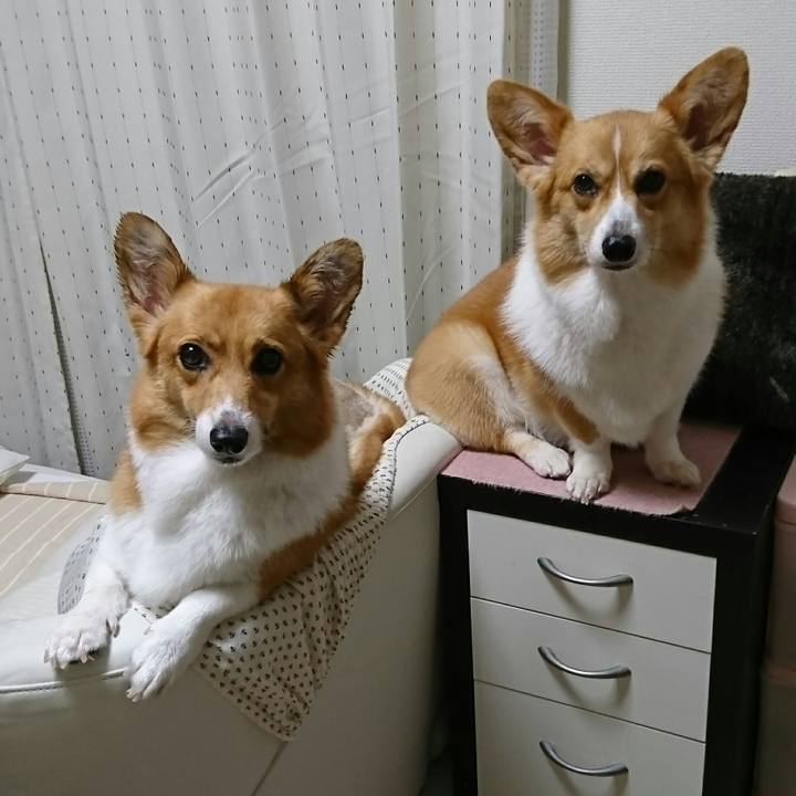 3ddc12af 4155 43c3 adc5 e3f538049bcc 1533810723519