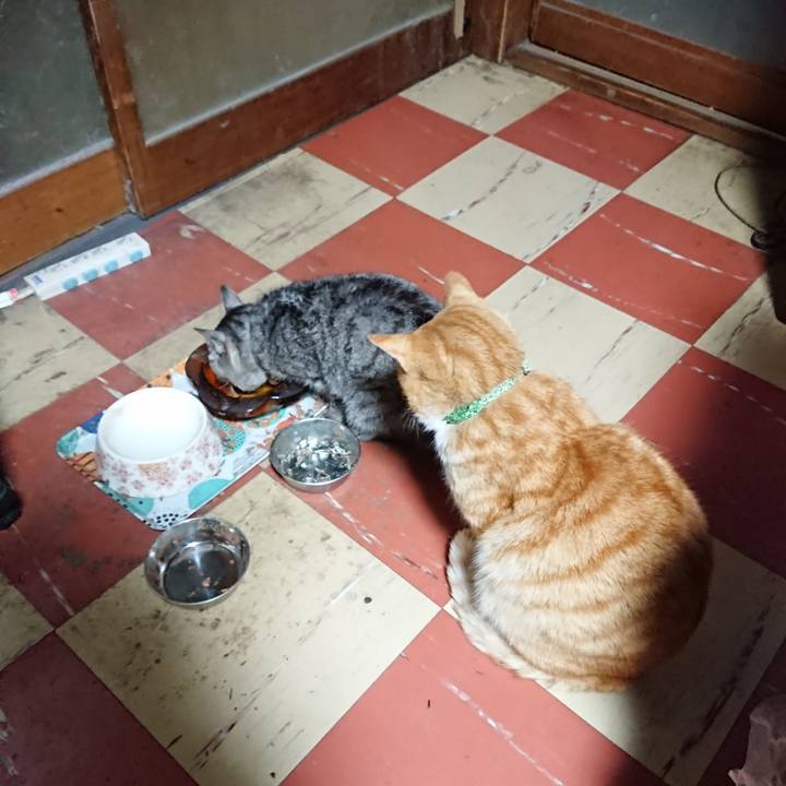 3ddc327c 8257 4a82 851b 8b378d15aea3 1585166747325