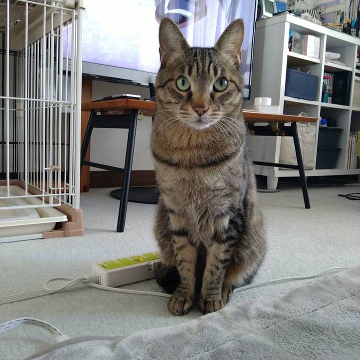 3ddc7ab6 520b 4902 967b a2fc866d189c 1708226106297