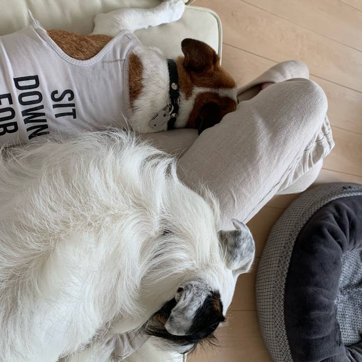 3ddca044 e734 4cef b041 89fa2d5dc711 1594016062391