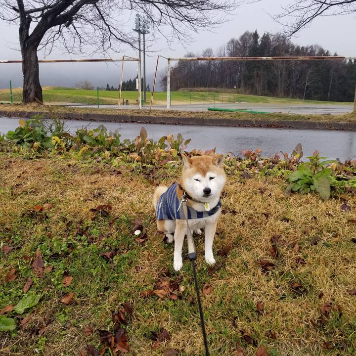 3ddd1efc ffc4 48d1 a785 726af4d3c244 1671166940747