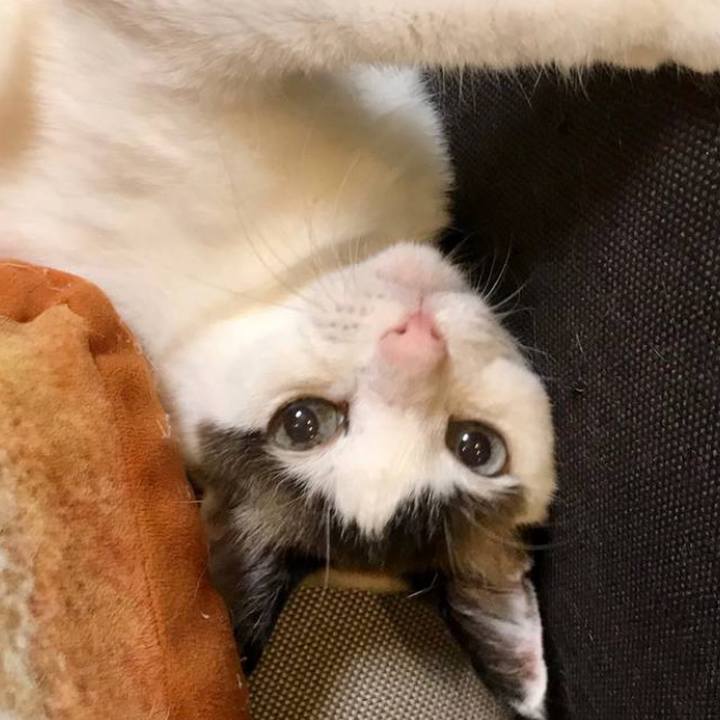 3ddd1f4c b316 44ba 8bf5 7d7ac139dd7f 1686802044173