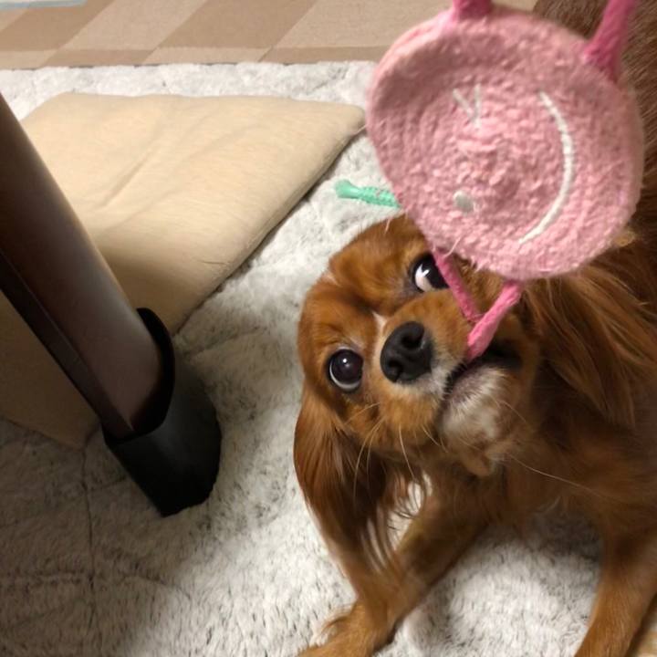 3ddd3362 0e5c 47ac aa0d edef43302ff6 1539094276512