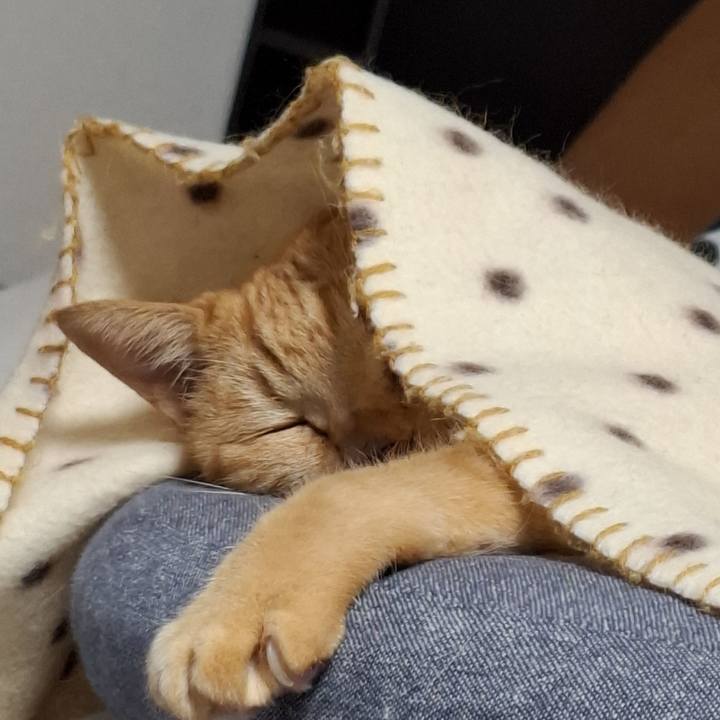 3ddd67f9 ba20 44d6 a965 9fd67981d93d 1762516171763