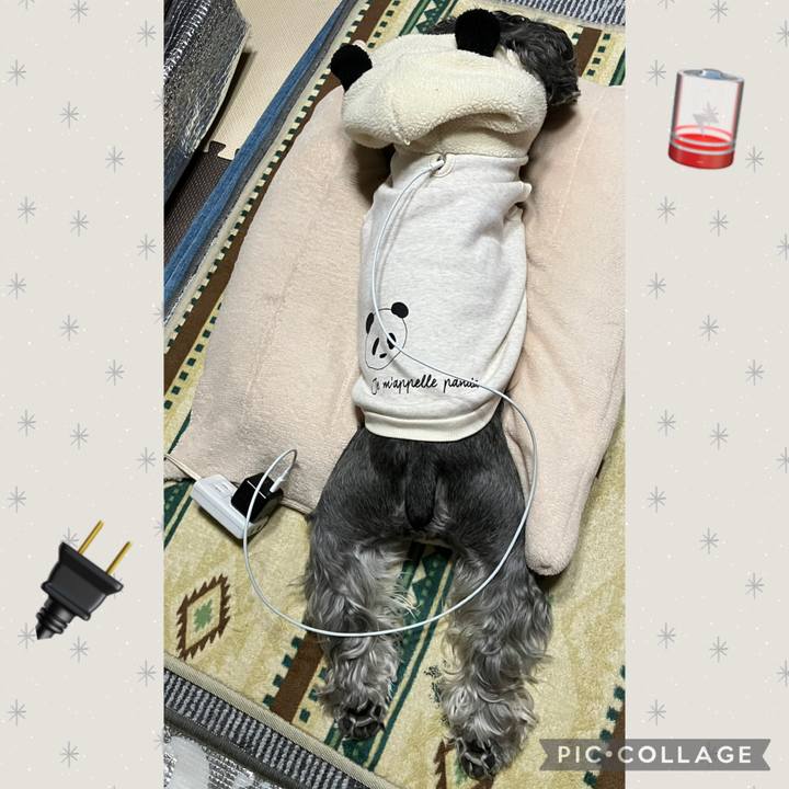 3ddd6b5f 11ec 4e74 a4ae 66c10b673fda 1744640899702