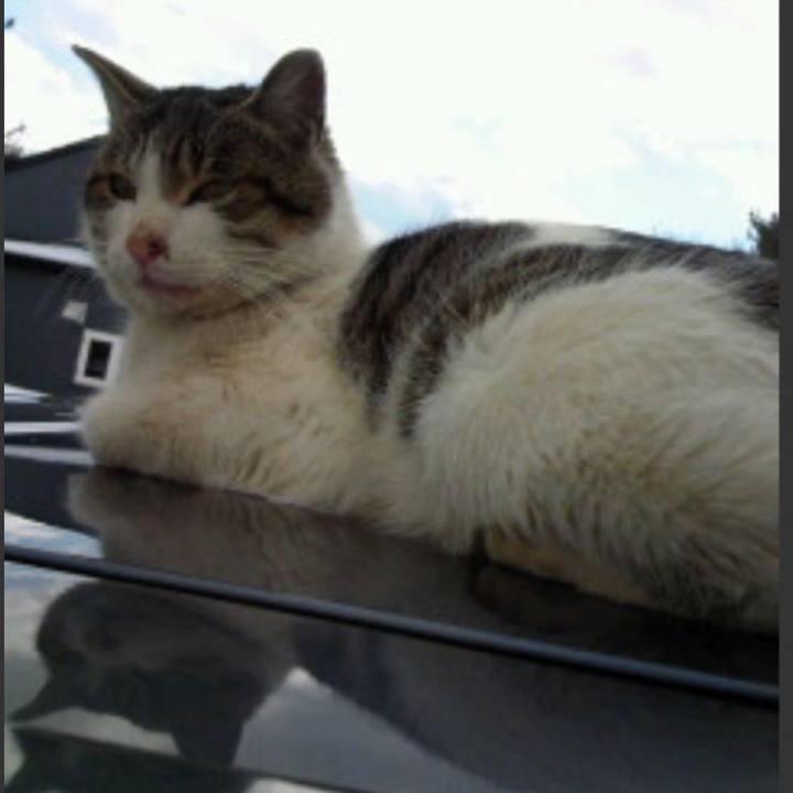 3ddd8141 8b2c 4fb9 ba50 d764ba36a23d 1550319211203