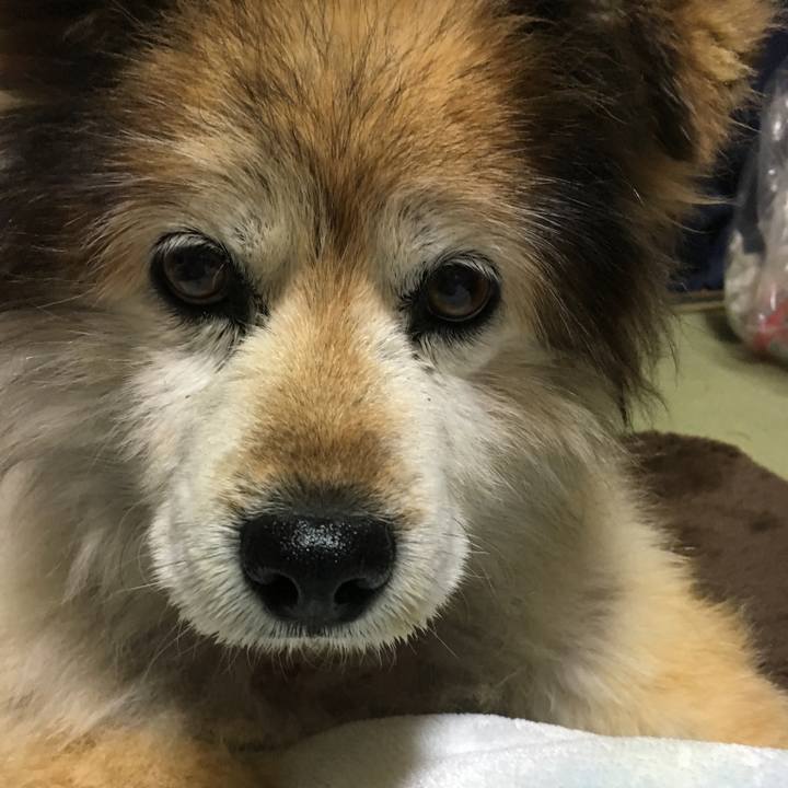 3ddd91b4 cf41 4ada 8909 d7826a275122 1602573573259