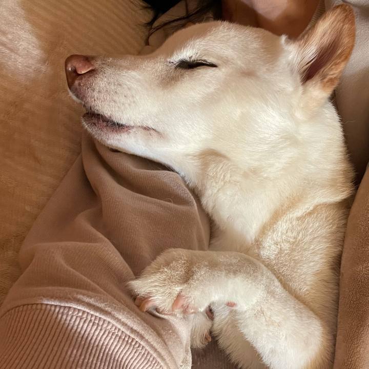 3dddaf88 dd05 4a89 976f d50345e9537f 1640908785895