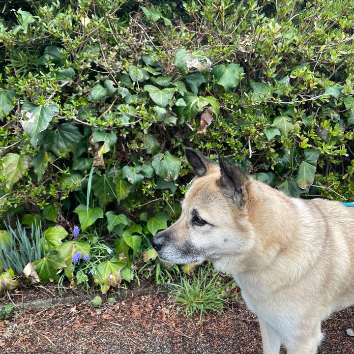 3dddcaff 2a87 4bf8 b1ae 5e64cbb083e0 1679665806842