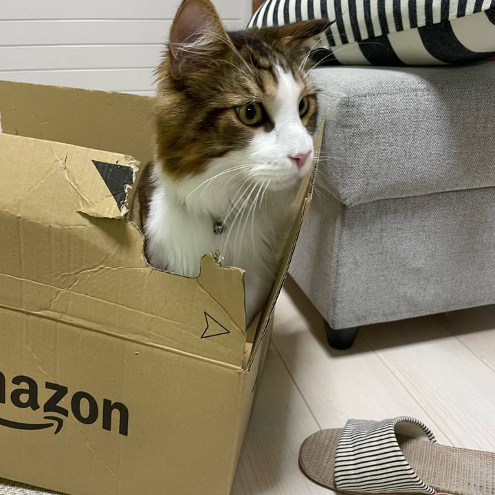 3dddef58 9a61 4dc1 9a0c a4180ae8b66d 1660163358081