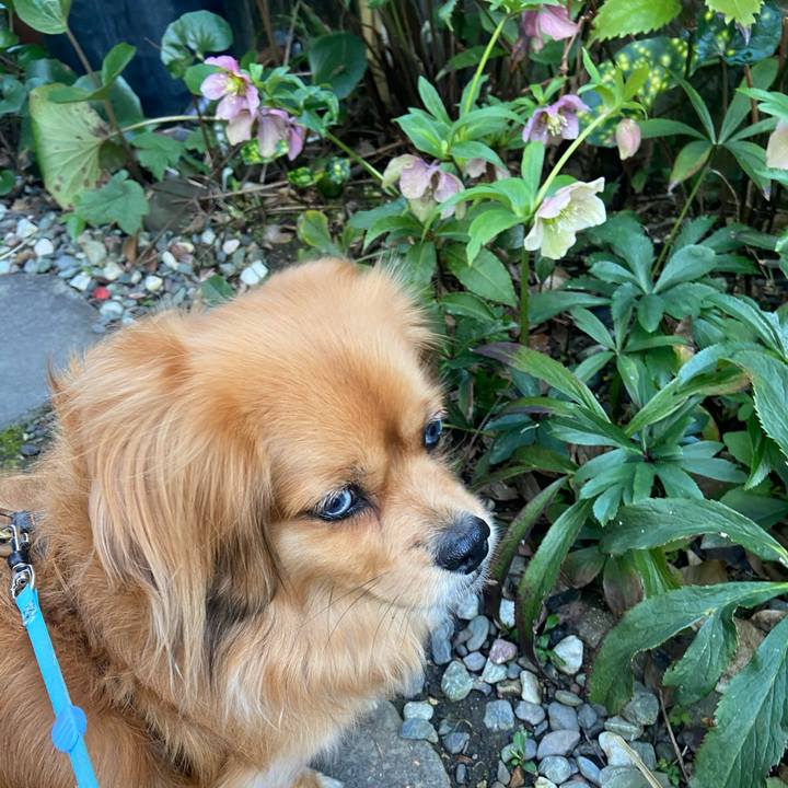 3dddf3f2 504e 4ab2 915c 649cf512d1b9 1616364418893