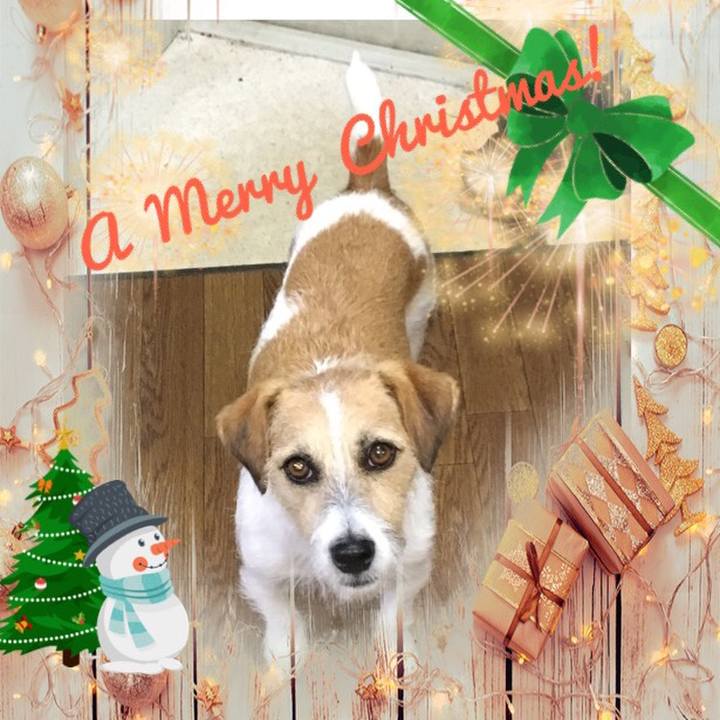 3dde0026 e444 4fc2 899c f549e517e5ae 1545718379863