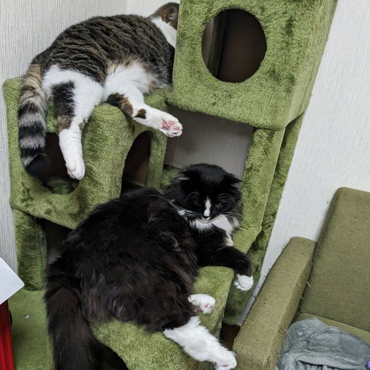 3dde20a3 807c 4abd 83e6 ee026ba55429 1718615324224