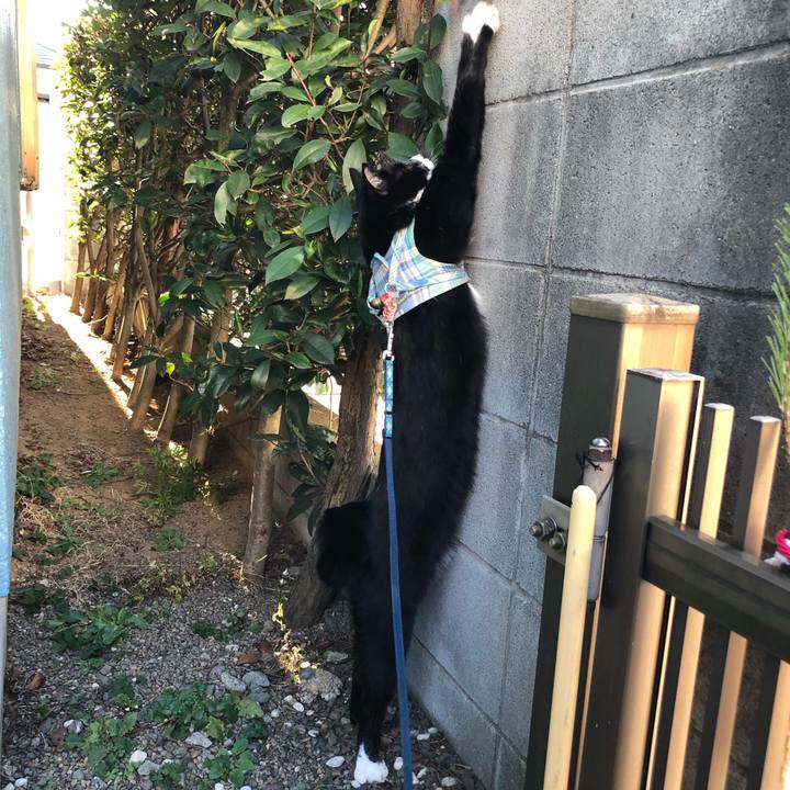 3dde5e1f 2efb 4d53 a4af 224e7aedce8f 1546919235035