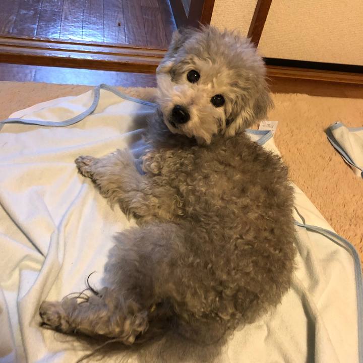 3ddeb252 a2bf 44d6 9270 a0b9de49b33b 1547249595795