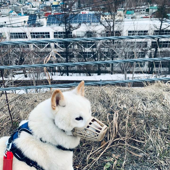 3ddeccc5 b941 4ed5 b081 e303325357a2 1648589820598