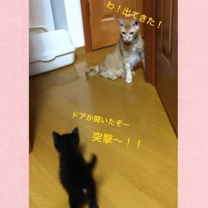 3ddedd0d 13bd 4e39 8e78 7f615dc2ff36 1601443812274