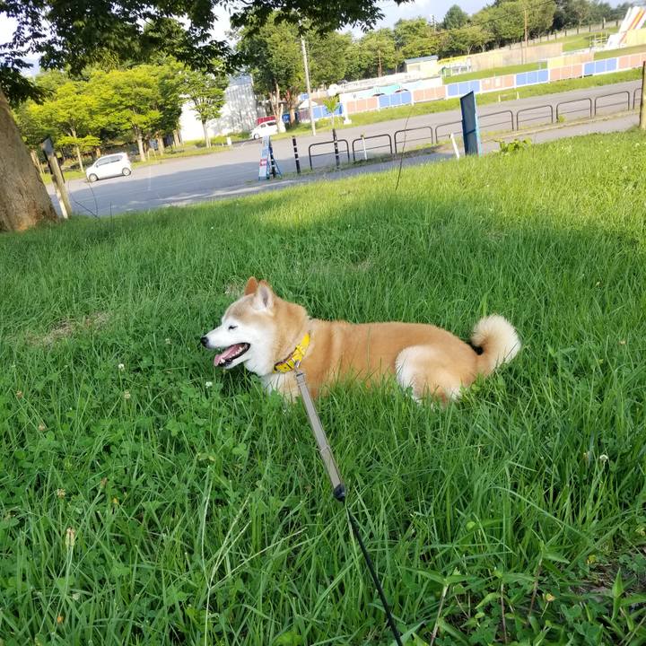 3ddeee2a 90f3 4547 b926 1c3cee79ce8f 1690186475543