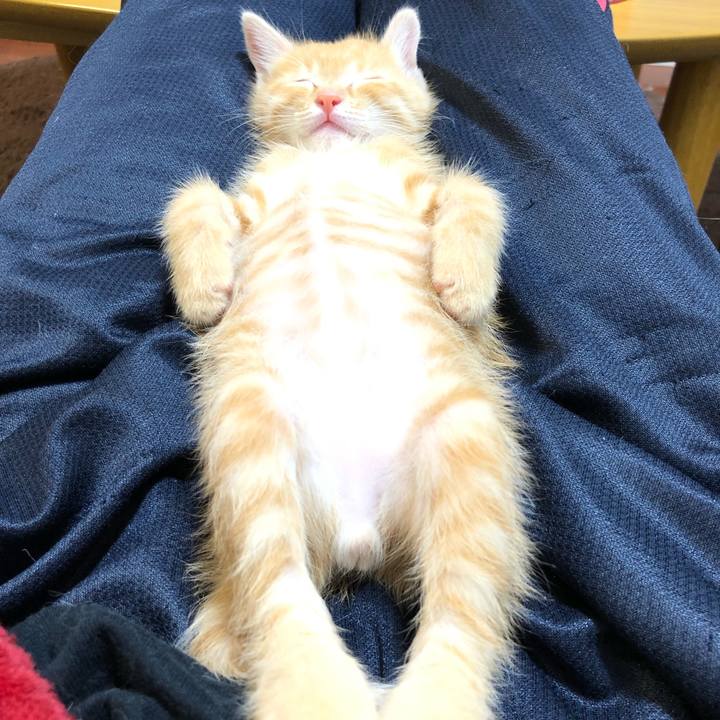 3ddefb2f fcab 4834 a97a 17014fb71081 1561209680189